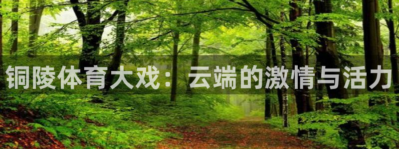 jrkan体育直播：铜陵体育大戏：云端的激情与活力