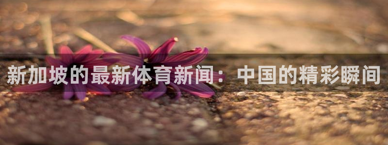 jrkan直播篮球体育网：新加坡的最新体育新闻：中国的精彩瞬间